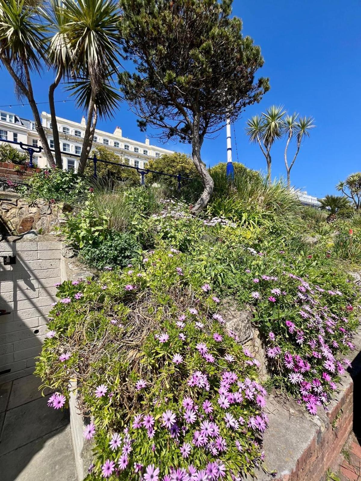 "The Parlour" Seafront Apartment Eastbourne Exteriör bild